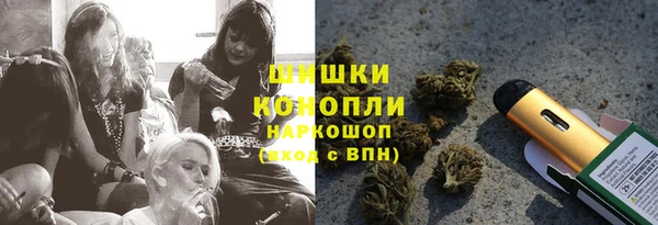 амф Алексин