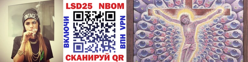 даркнет Telegram  мега   Курчалой  Марки NBOMe 1500мкг 