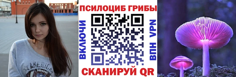 Псилоцибиновые грибы Cubensis Курчалой