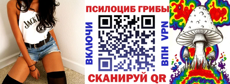 Псилоцибиновые грибы Magic Shrooms цены blacksprut как войти Курчалой